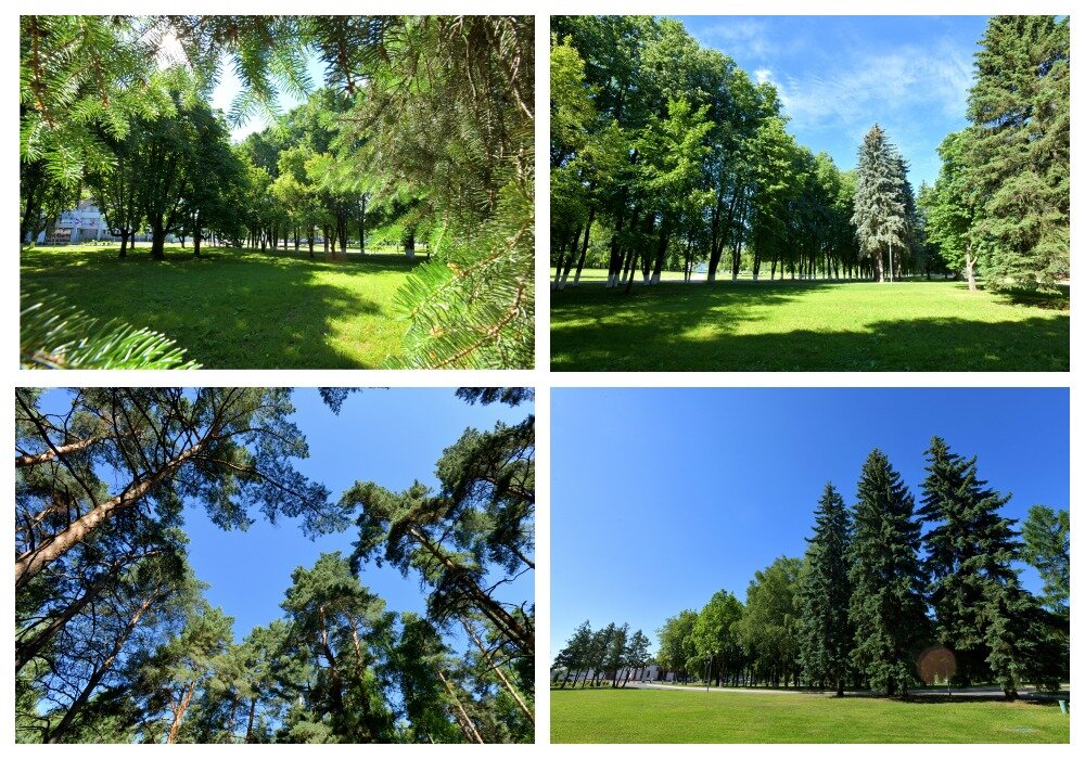 Нахождение в медицинском учреждении среди такой зелени напоминает отдых в фешенебельном санатории.