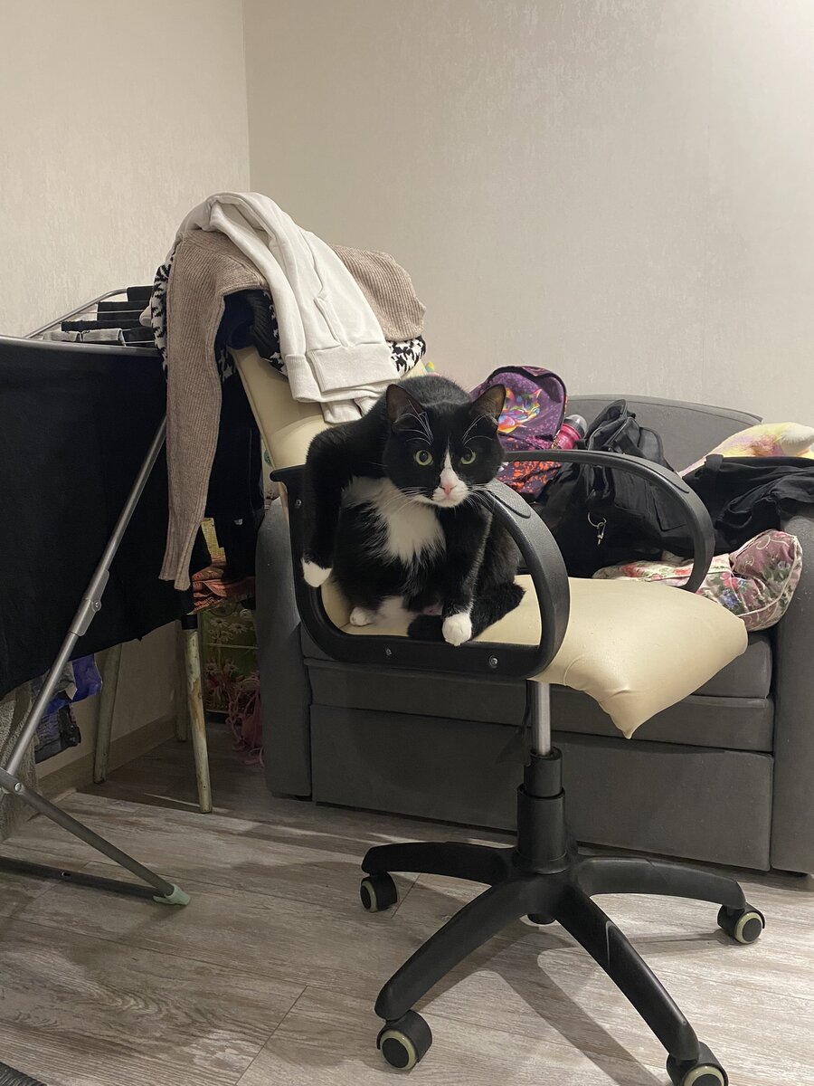 Как думаете какую интонацию щас услышал Борис?