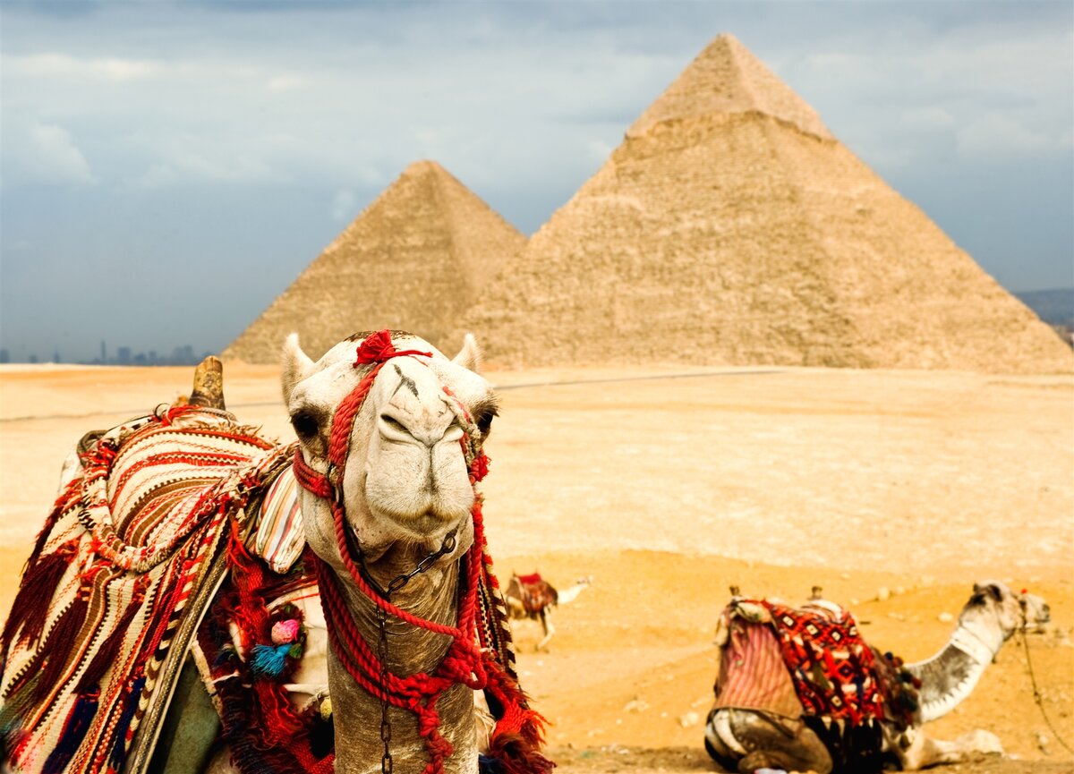 Почему он, а не я едет в Египет: разбираем причины выбора