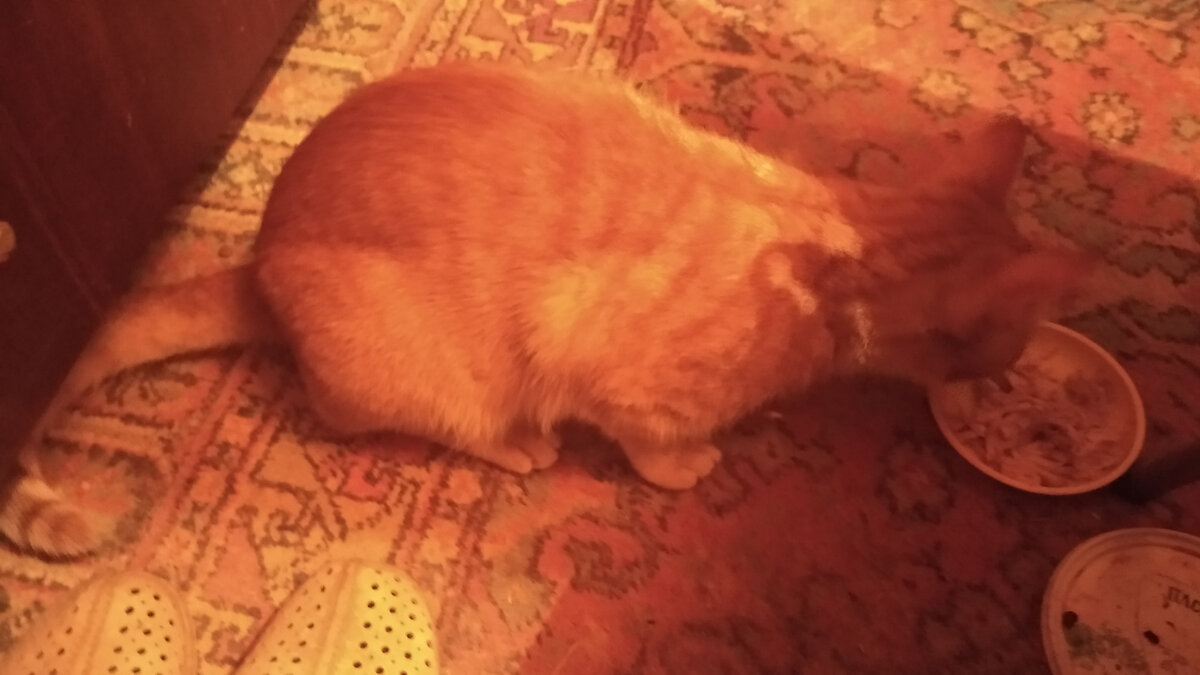 Личное  фото