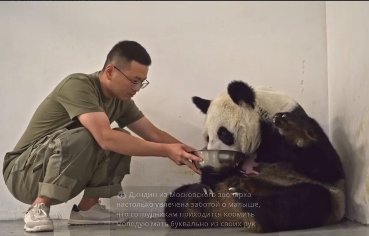 Молчание – это один из великих способов вести беседу. (Уильям Хэзлитт)