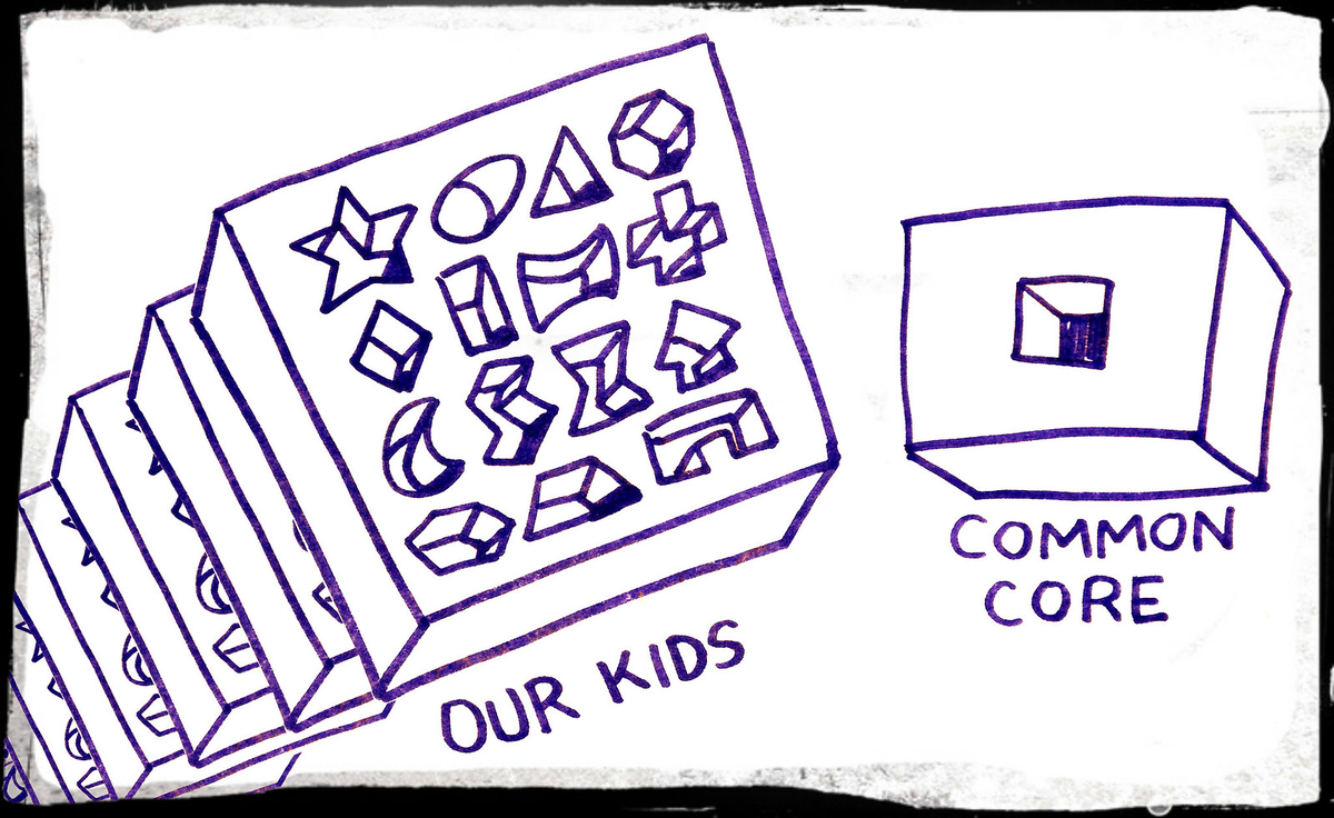 Американская общественность часто критикует федеральный образовательный стандарт за его однобокий подход и в целом за попытку навязывания единной политики.