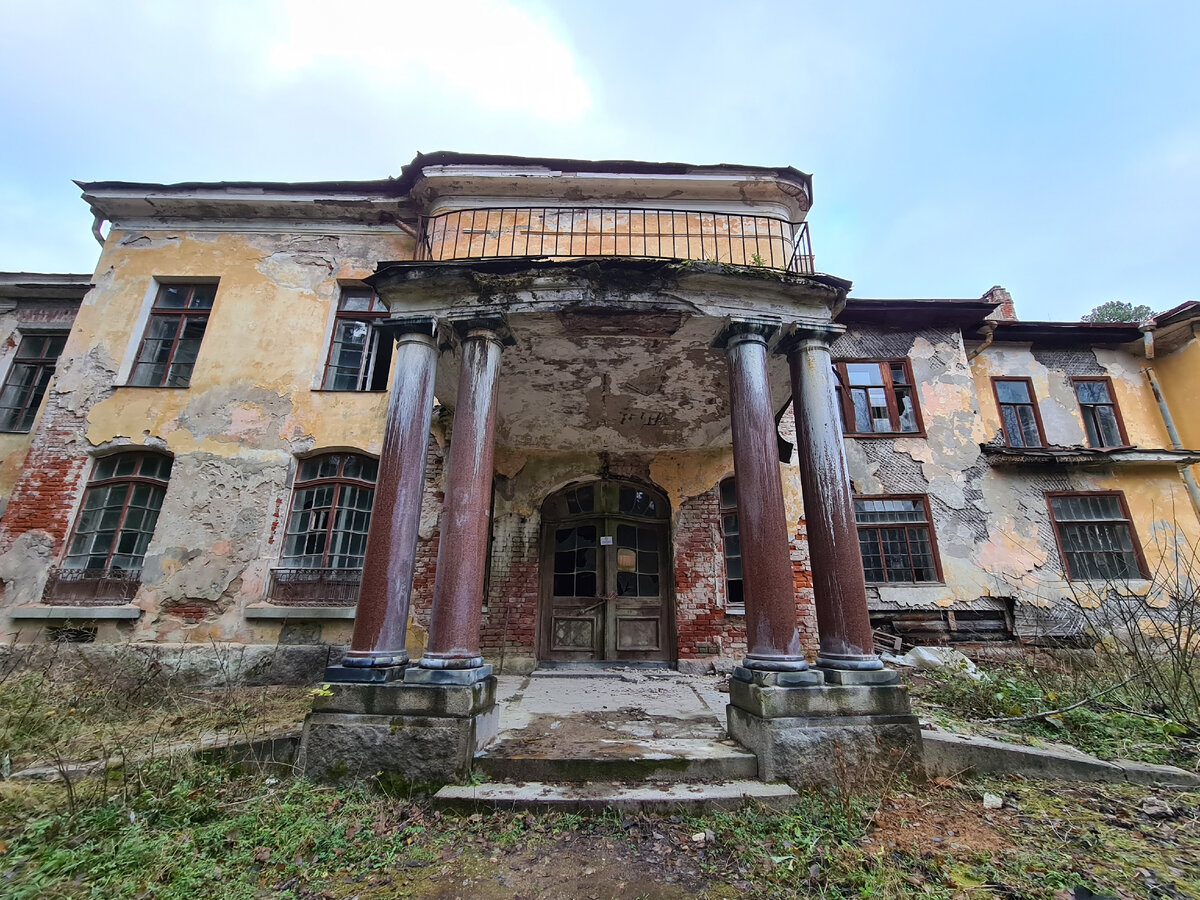 Фото: Парадная гостья