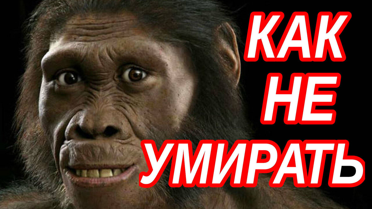 ПРИНЦИПЫ ЭВОЛЮЦИИ ОБЩЕСТВА ИЛИ ВСЕ РАДИ ЖИЗНИ