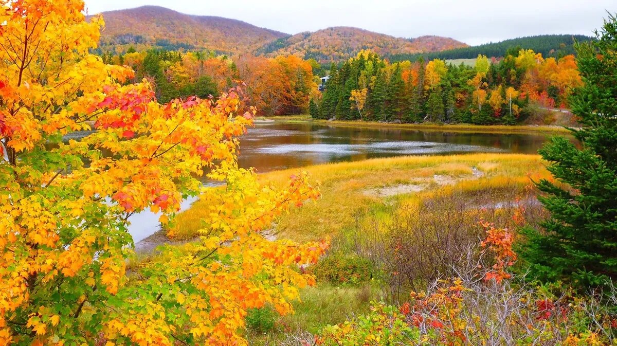 Мощные геомагнитные атаки часто приносят негативные симптомы. Фото: pxhere.com