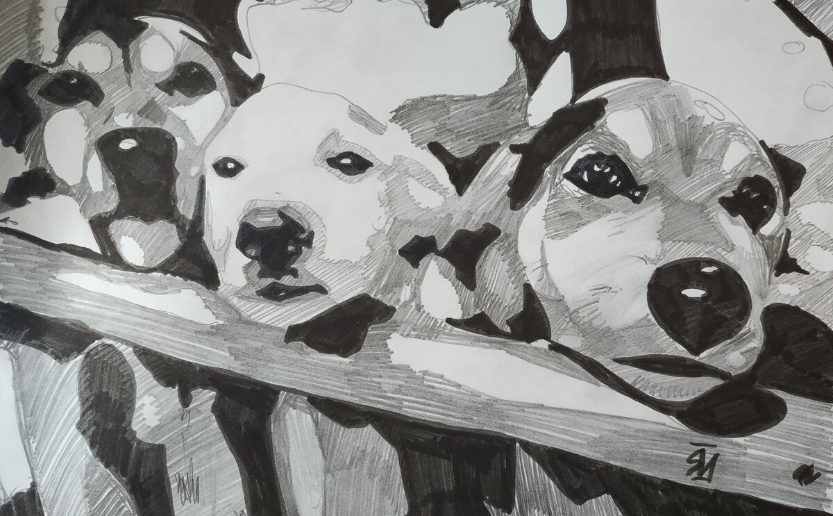 Белка, Стрелка и Хмурый. Скетч автора.