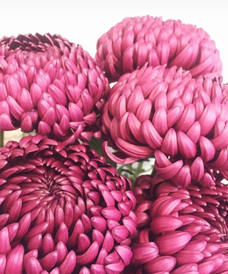 Невероятная 