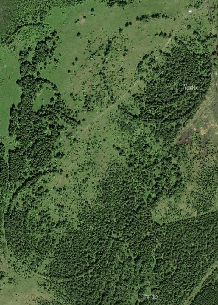 Фото со спутника в районе Каслей посажены в два круга из деревьев 