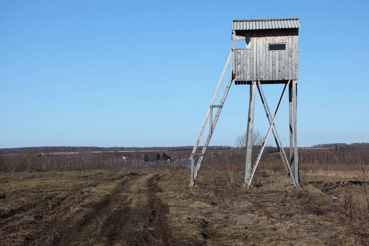 АВТОР СТАТЬИ: СЕРГЕЙ ЩЕРБАКОВ