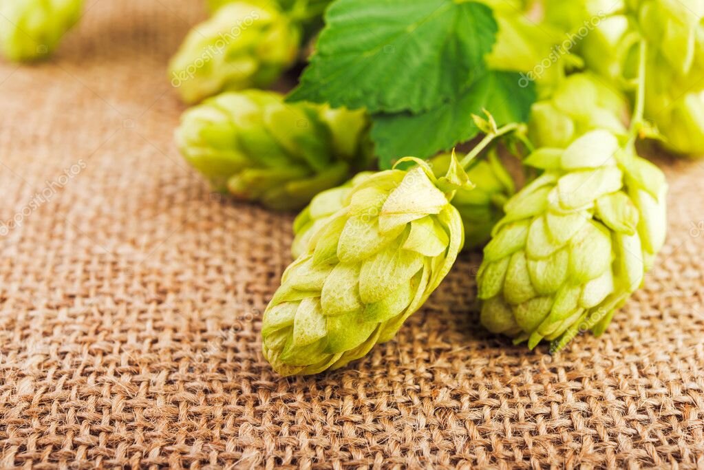 Источник: Яндекс Картинки