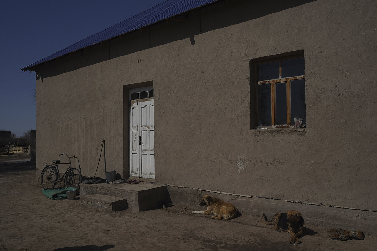 Саманный дом со скатной крышей. Участок около такого дома может быть и размером с гектар