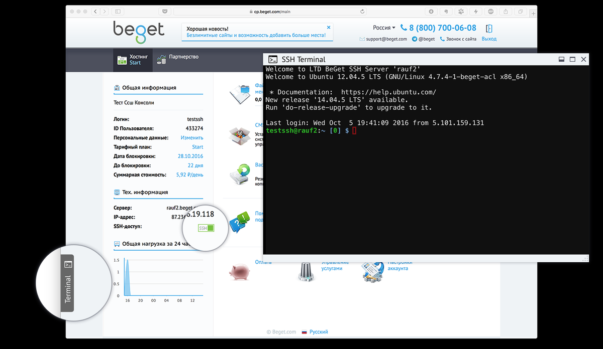 ssh терминал на хостинге beget