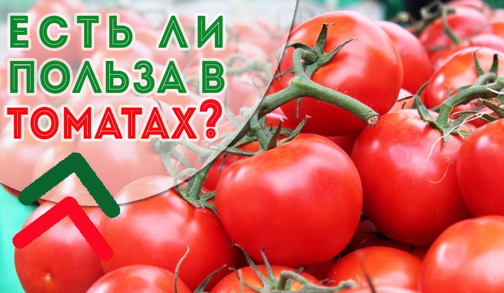 Помидор – новый суперфуд? Низкая калорийность и полезные свойства для твоего здоровья