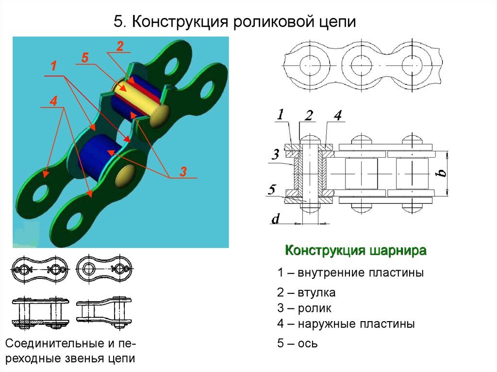 В роликовой цепи ролик на рисунке указан цифрой