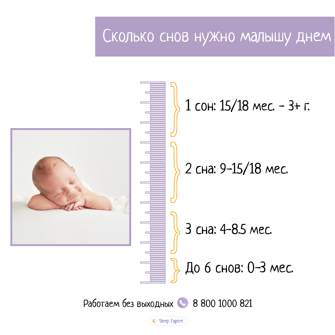 2 дневных сна. Сон ребенка в 2-3 месяца. Сон ребенка в 2. Сколько должен спать ребёнок в 6 месяцев. Сколько спят дети в 2-3 месяца.