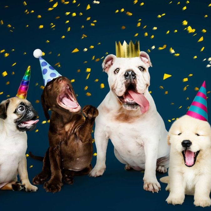 День собак - 2 июля!