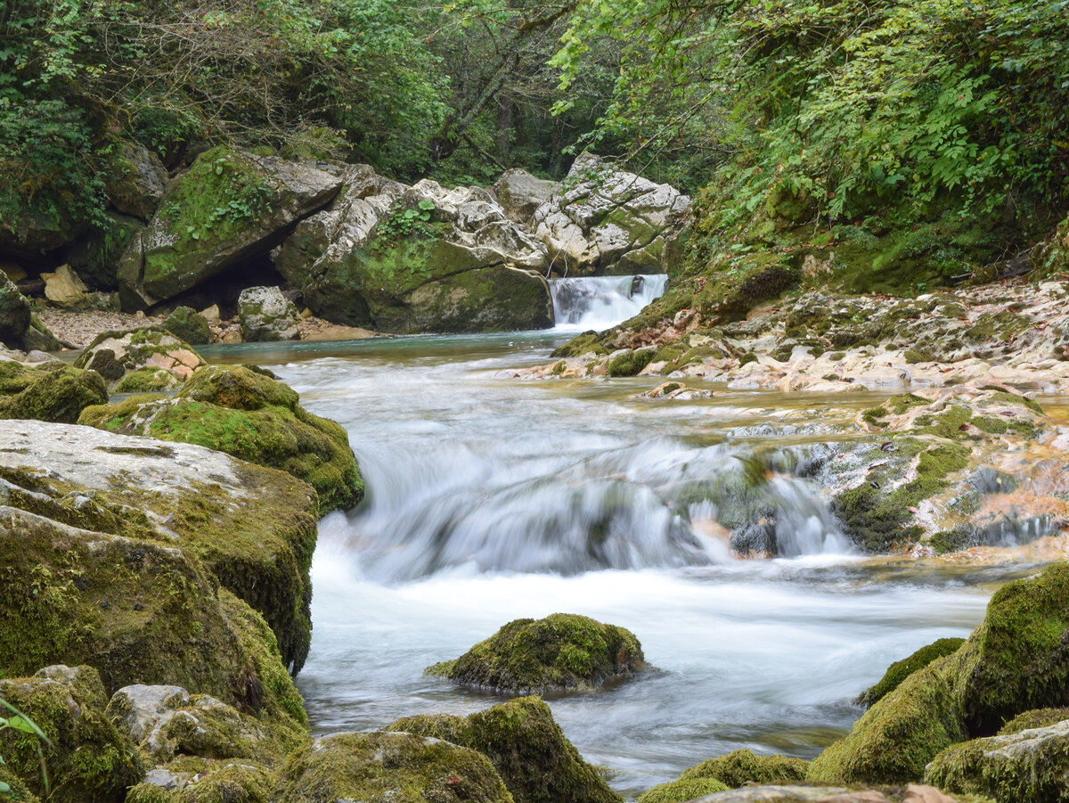 Река Курджипс выше поселка Мезмай.
