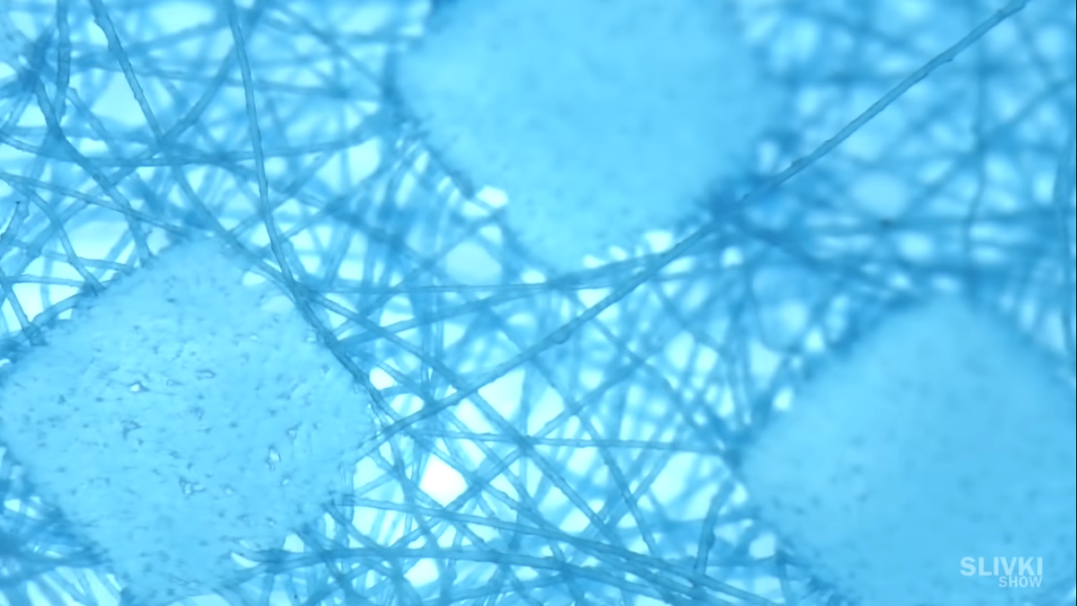 Маска под микроскопом. Хлопковое волокно под микроскопом. Медицинская маска под микроскопом. Размер вируса и маски. Медицинская маска под микроскопом.