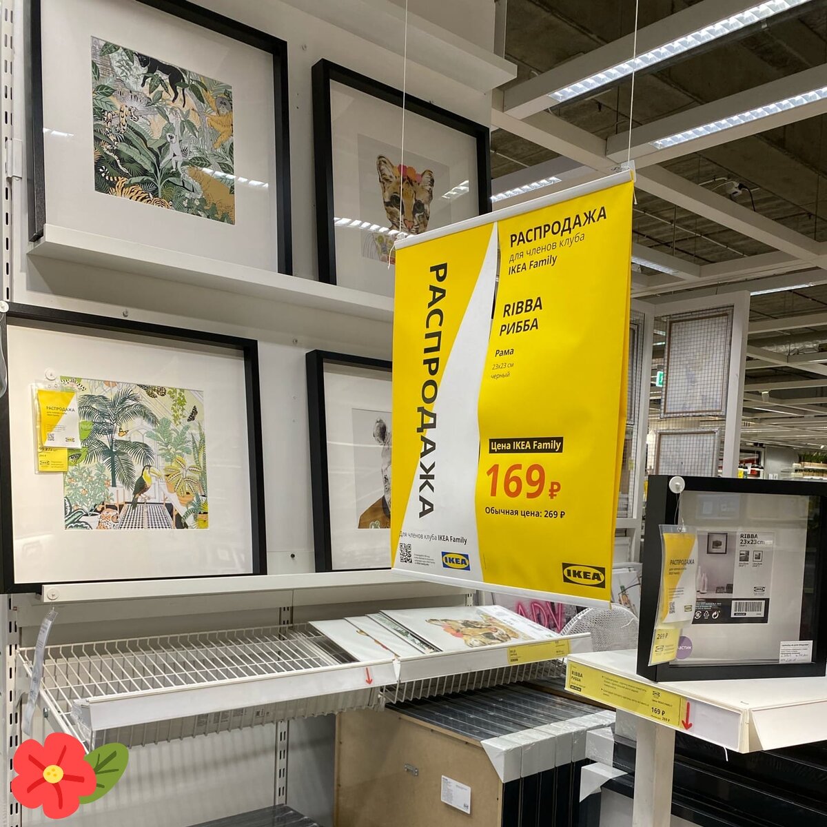 Да начнется битва: сегодня Ikea запускает распродажу - Москвич Mag