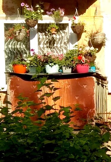 Цветы на балконе.