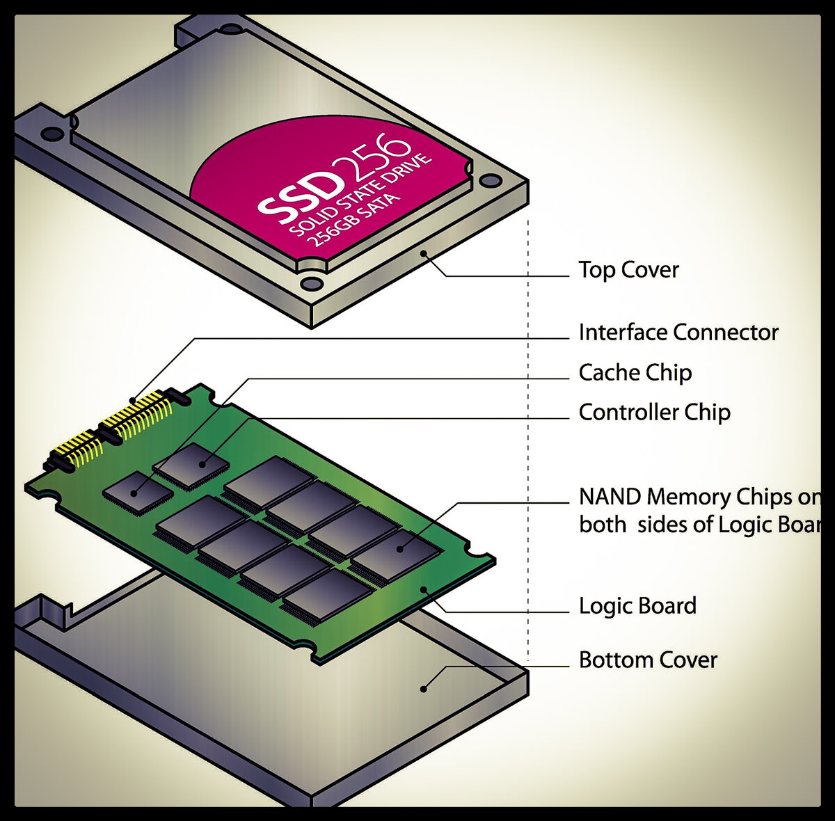 SSD в разрезе