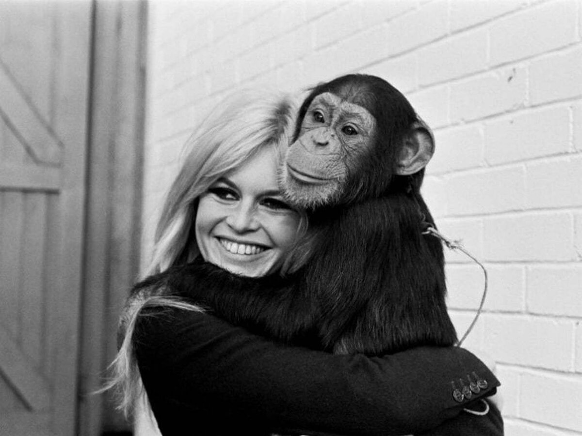 Брижит Бардо в 1966г. Фото: Leonard de Raemy