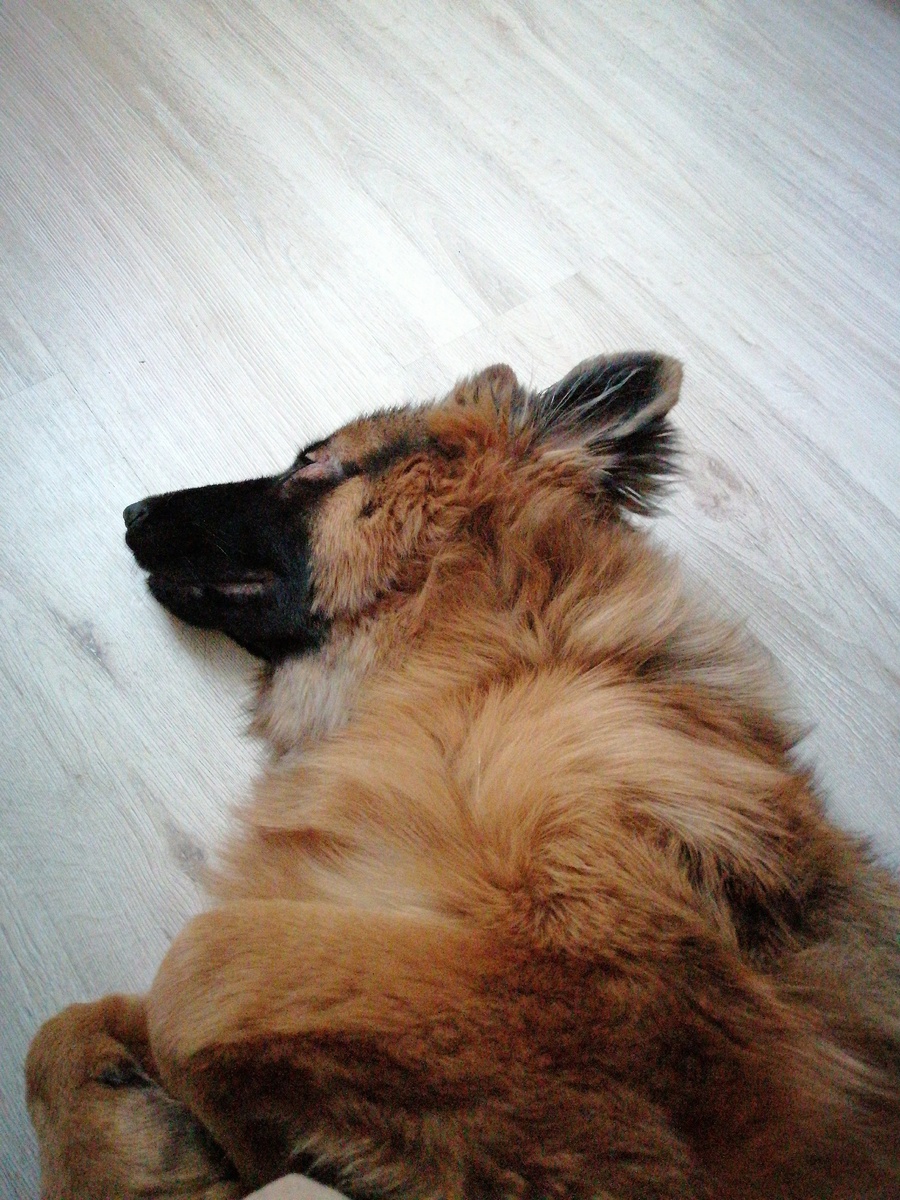 Активно спит