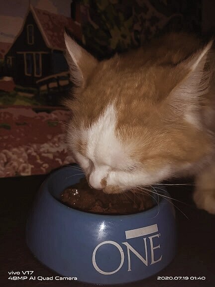 Балуем Кузю.