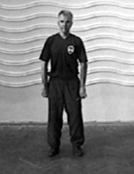 Рис.1. Устойчивое положение во фронтальной стойке