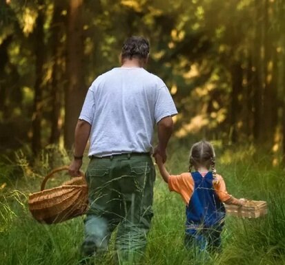 В лес по грибы