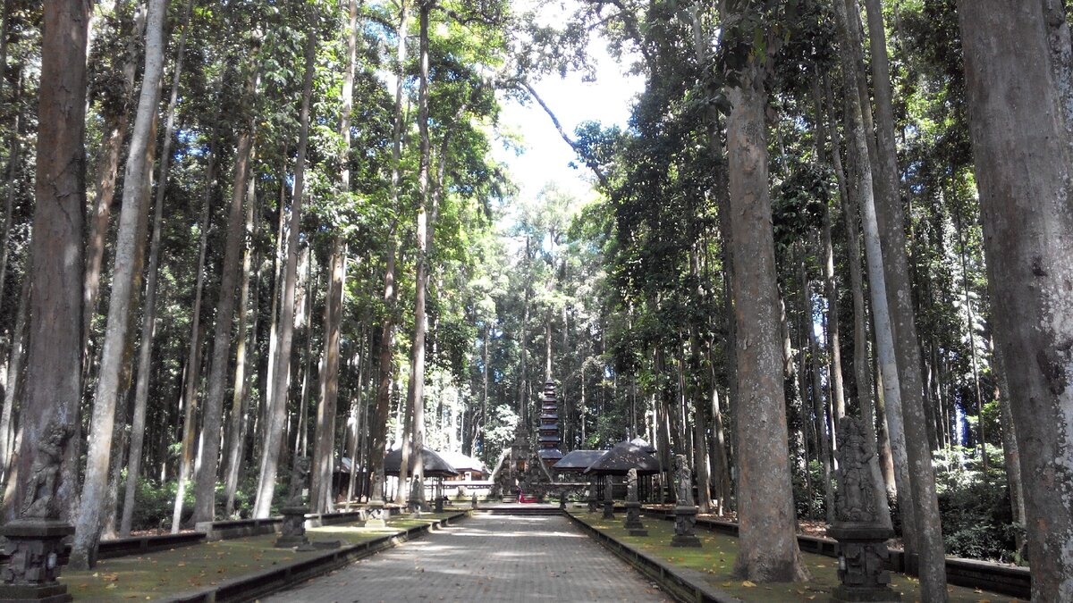 Настоящий лесной храм. место завораживает