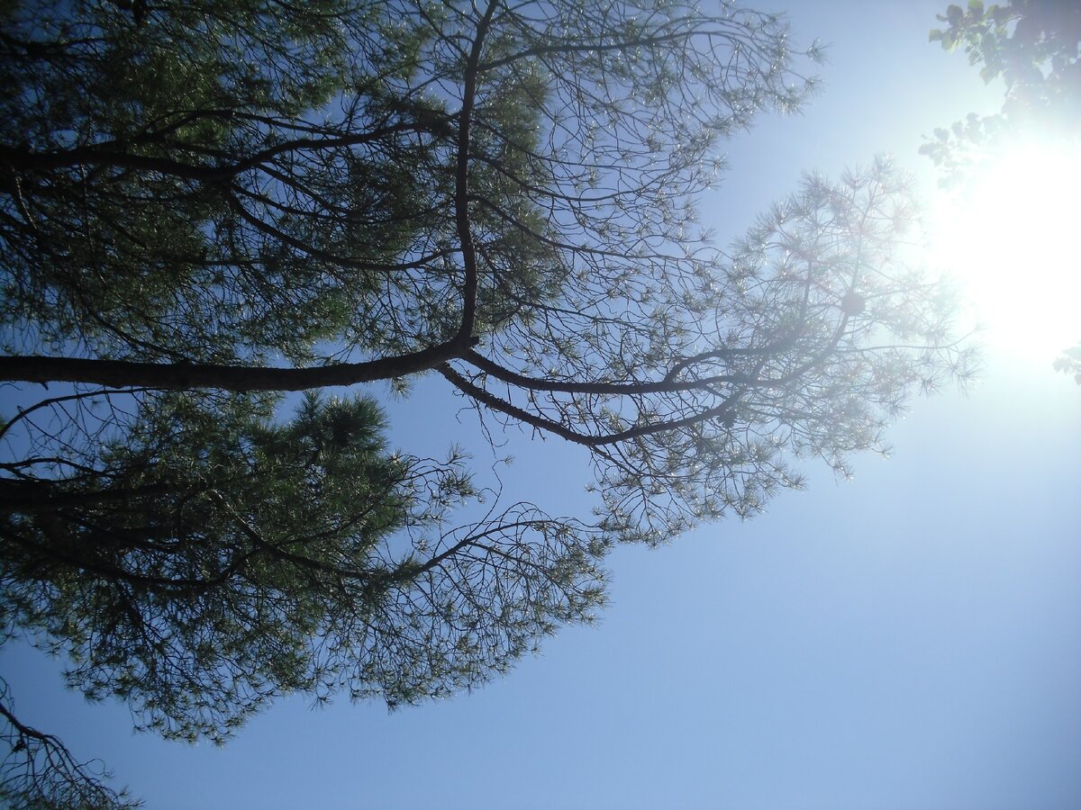 Lago di Garda.