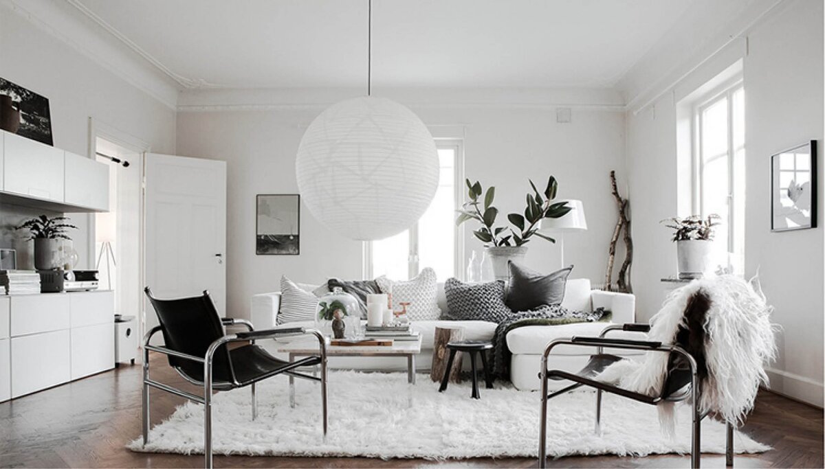 Фотография взята из открытых источников