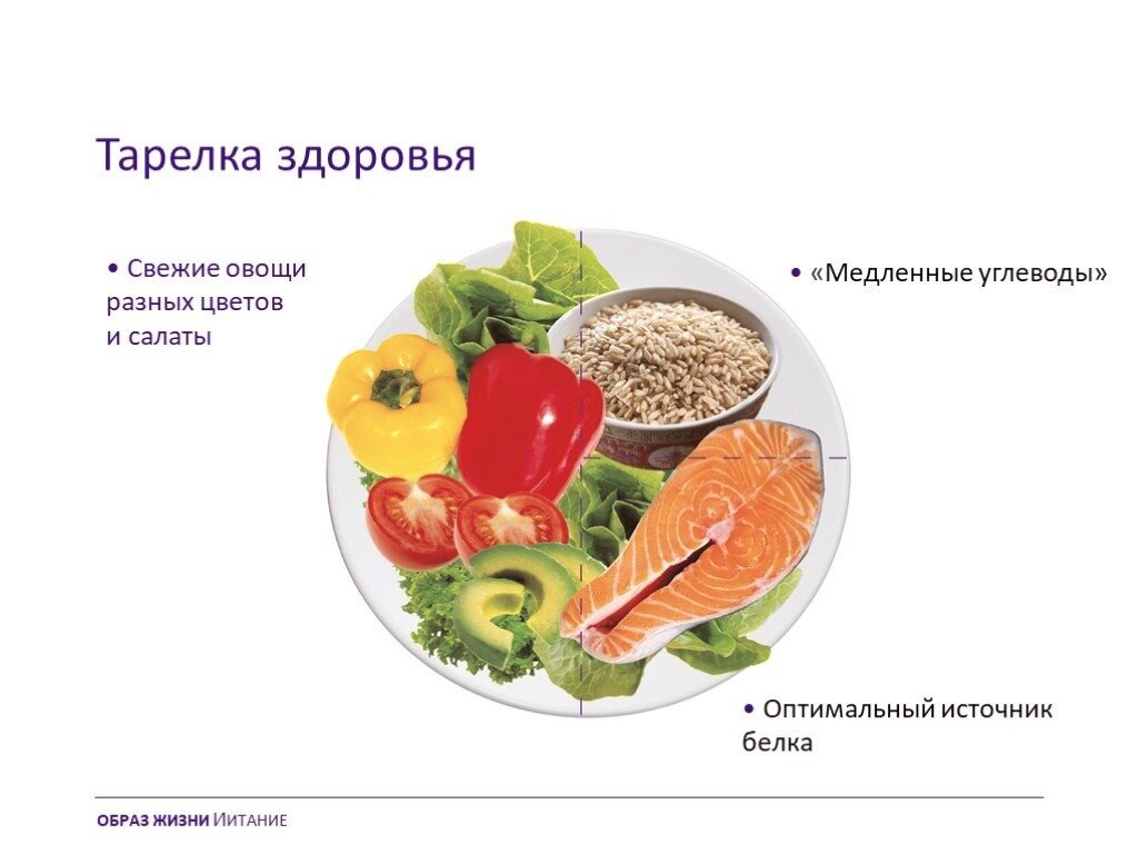 Правильная тарелка питания схема