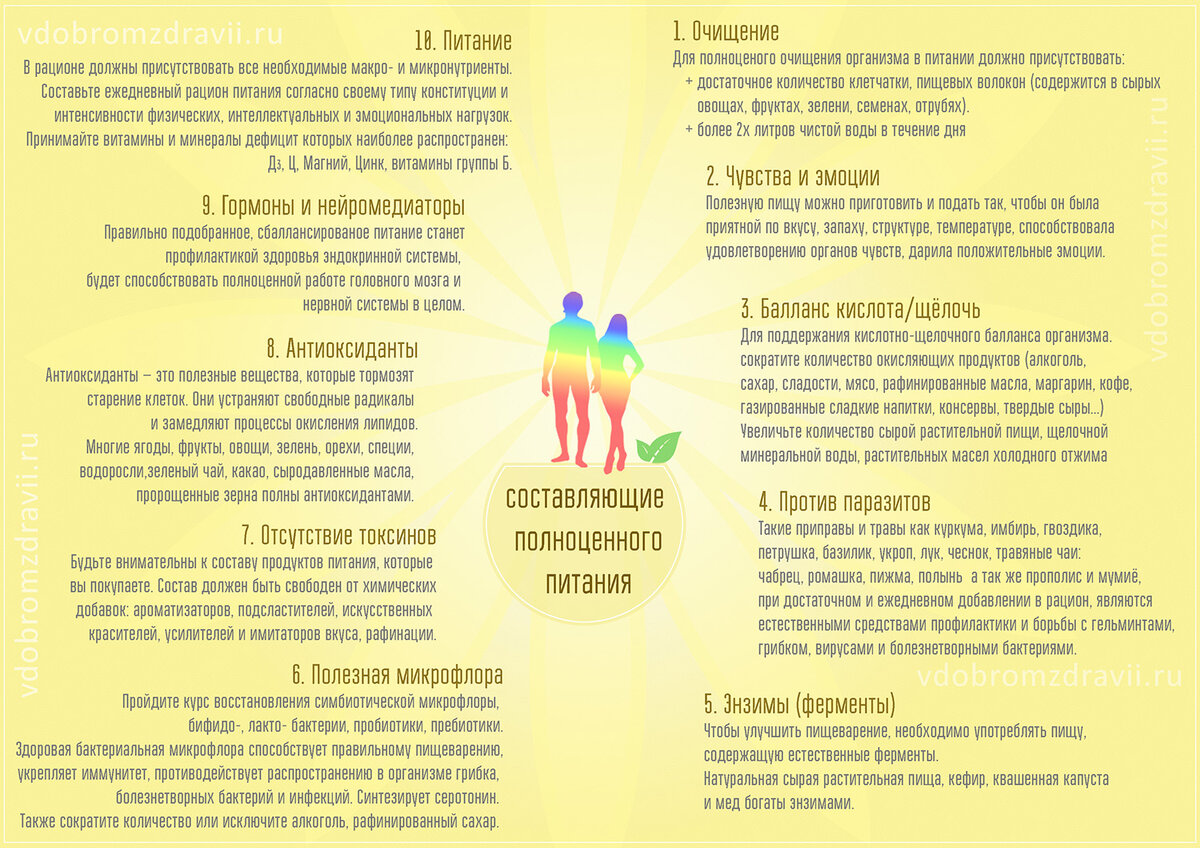 10 главных принципов здорового питания  инфографика