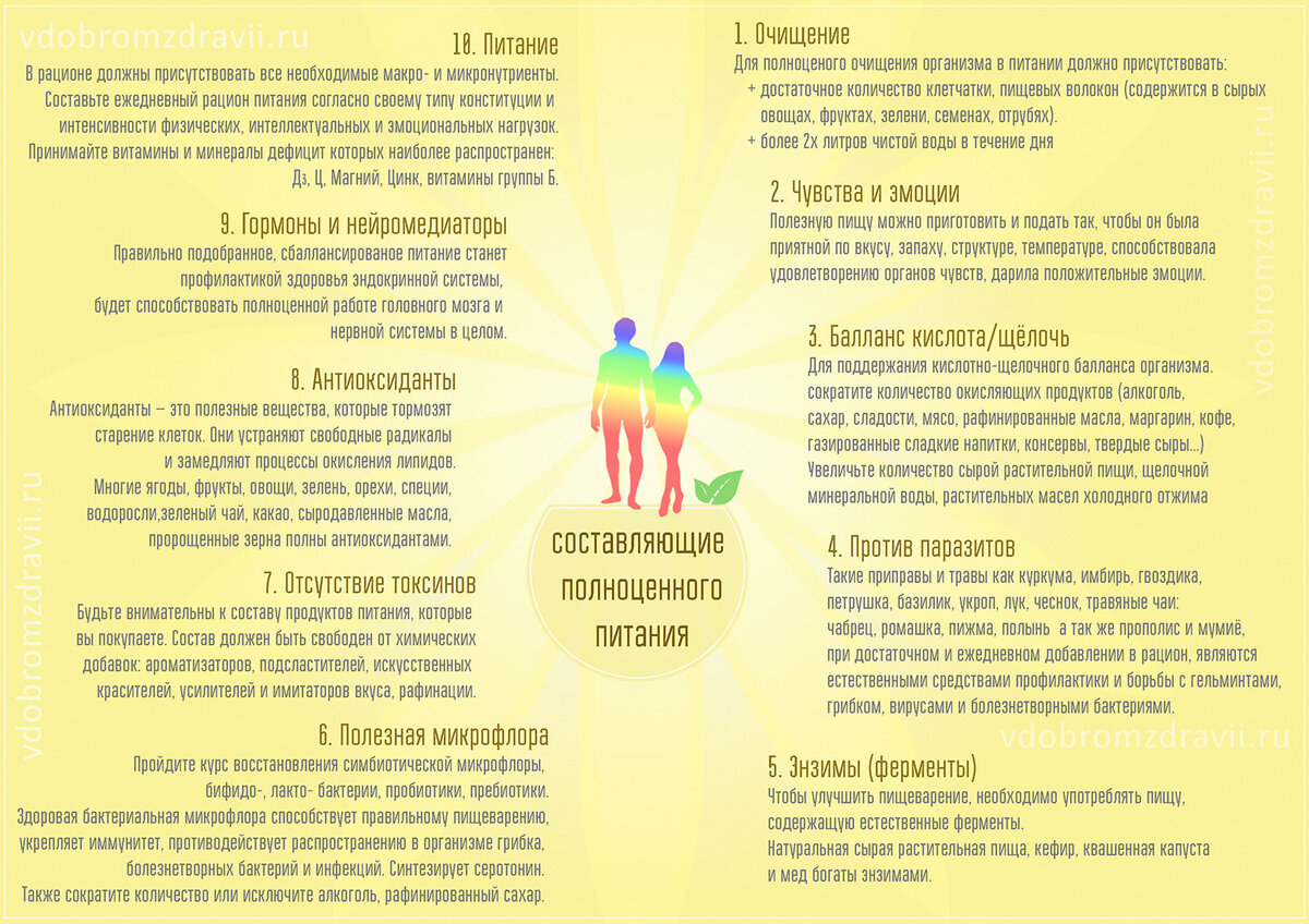 10 главных принципов здорового питания | В добром здравии | Дзен