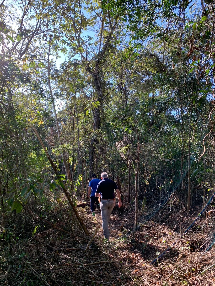 Записки из джунглей Бразилии - побродили по лесам в поисках наших границ