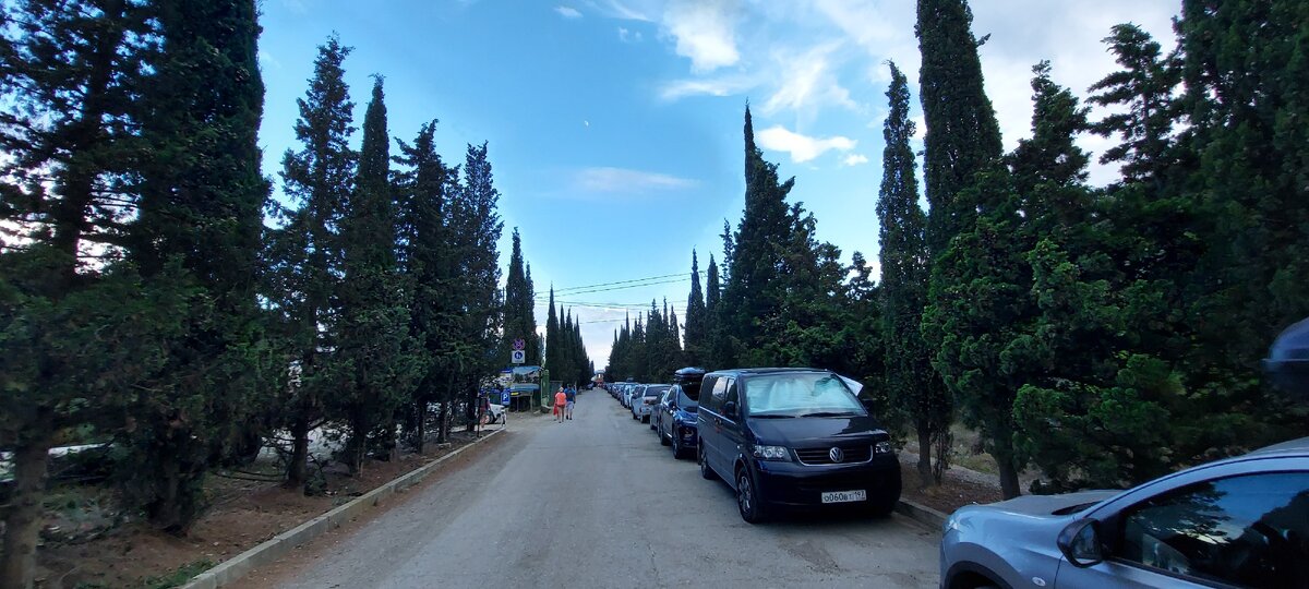 2 километра кипарисовой аллеи на подъезде к Канаке