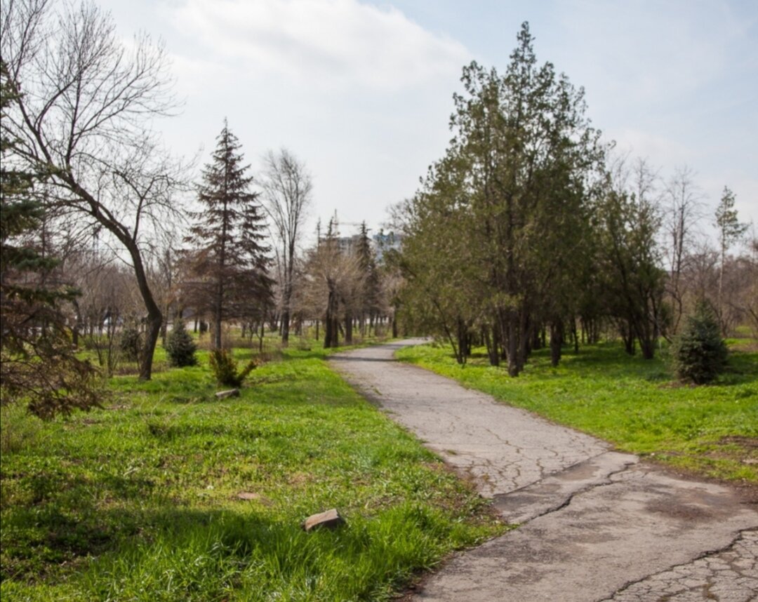 Парк победы в волгограде