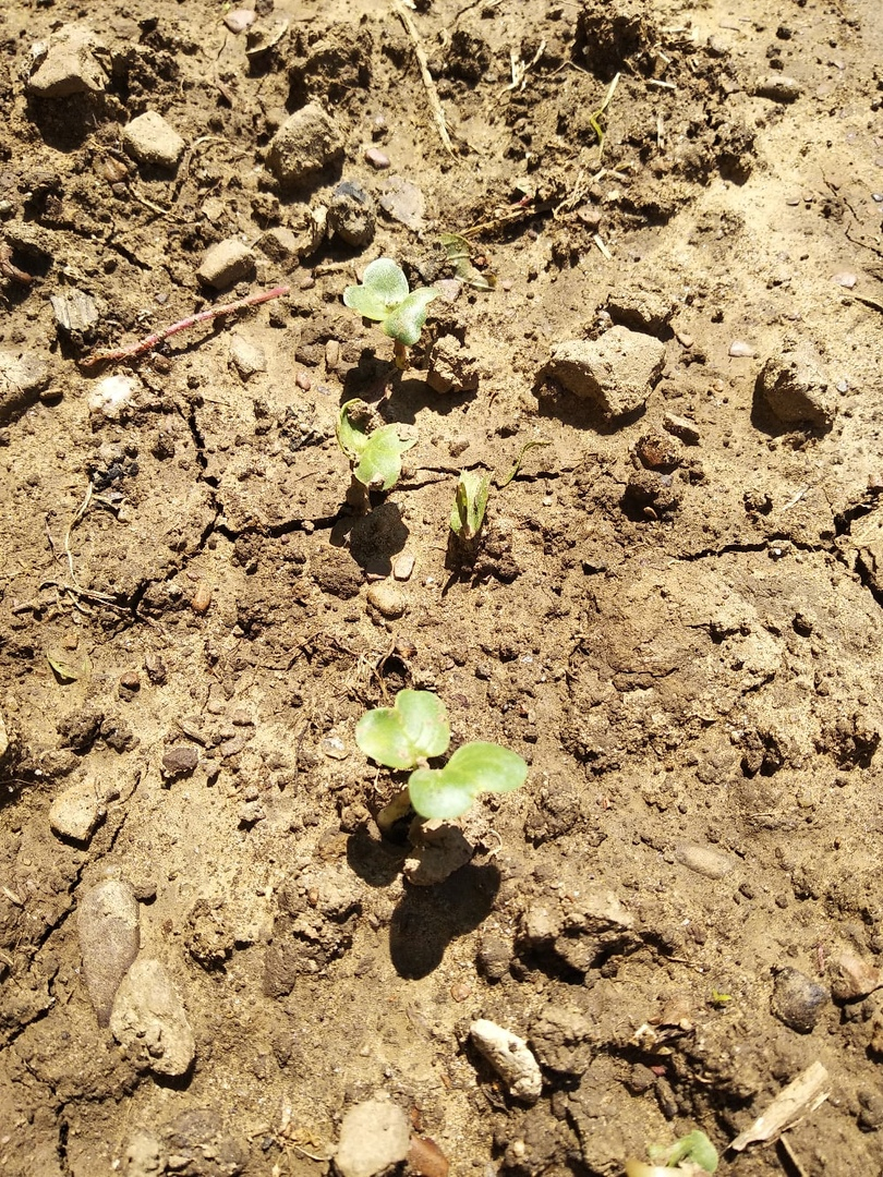 Из личного архива