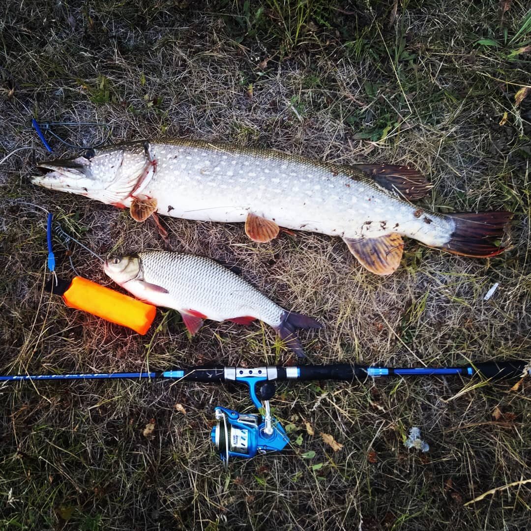 Это я через 10 минут после того, как сел рыбачить