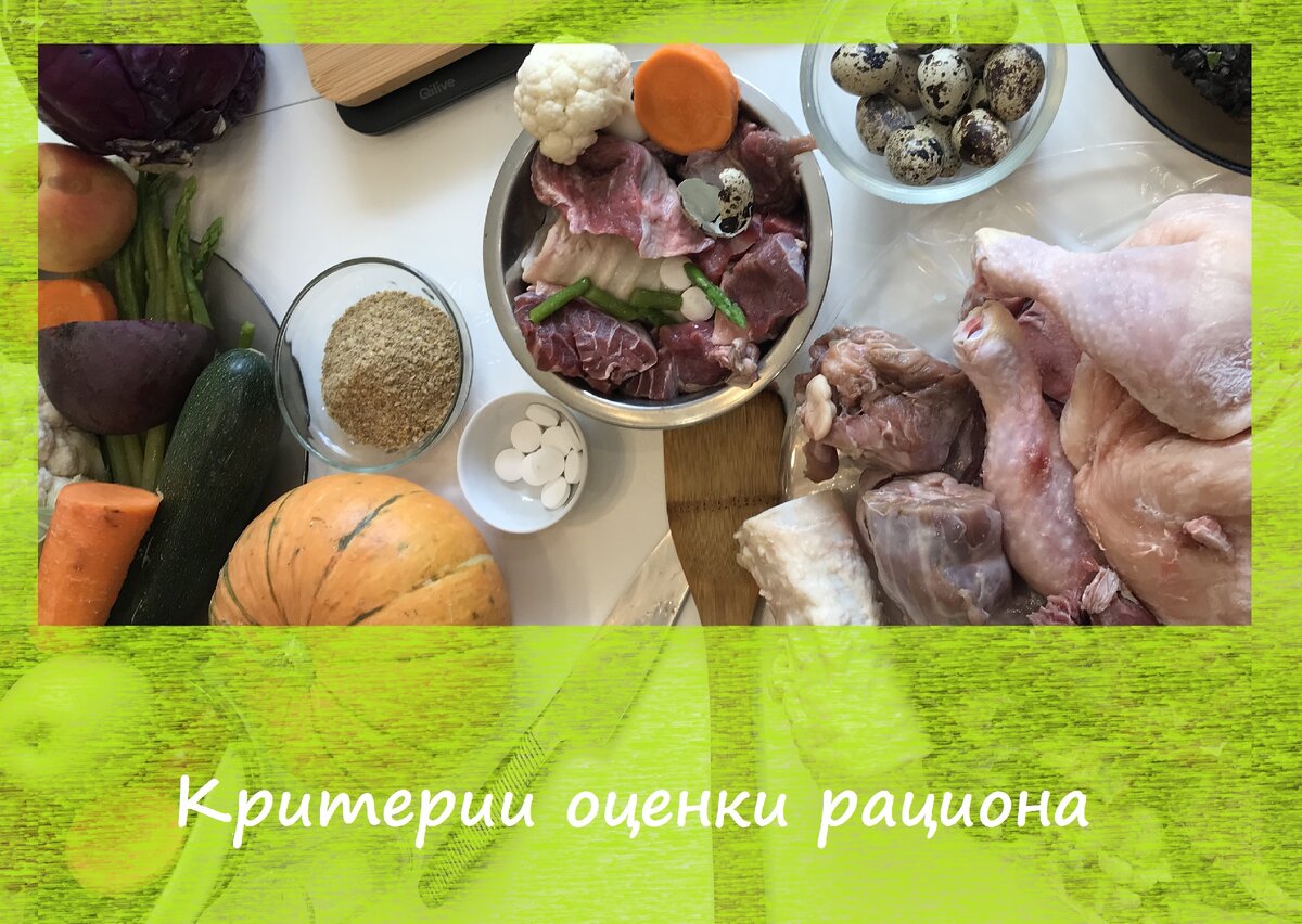 Критерии оценки рациона