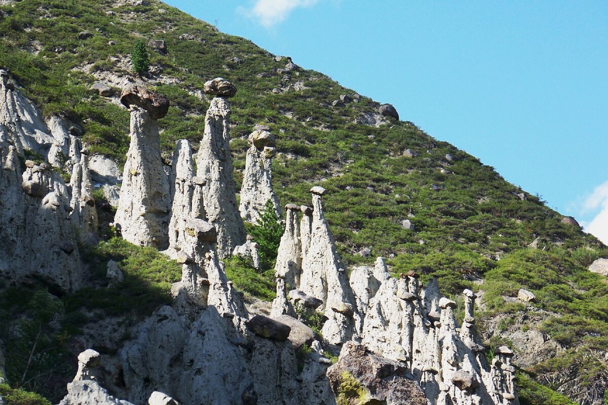 Каменные грибы Алтая.