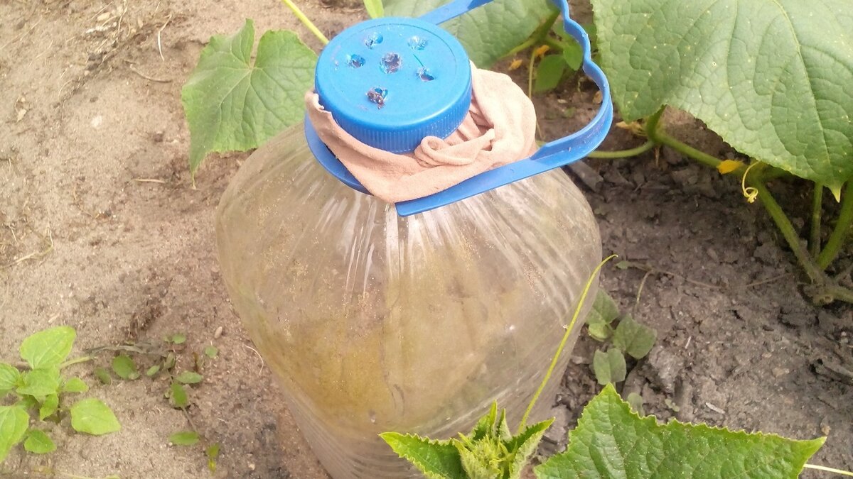 Бутылка-кормилица готова. Фото автора