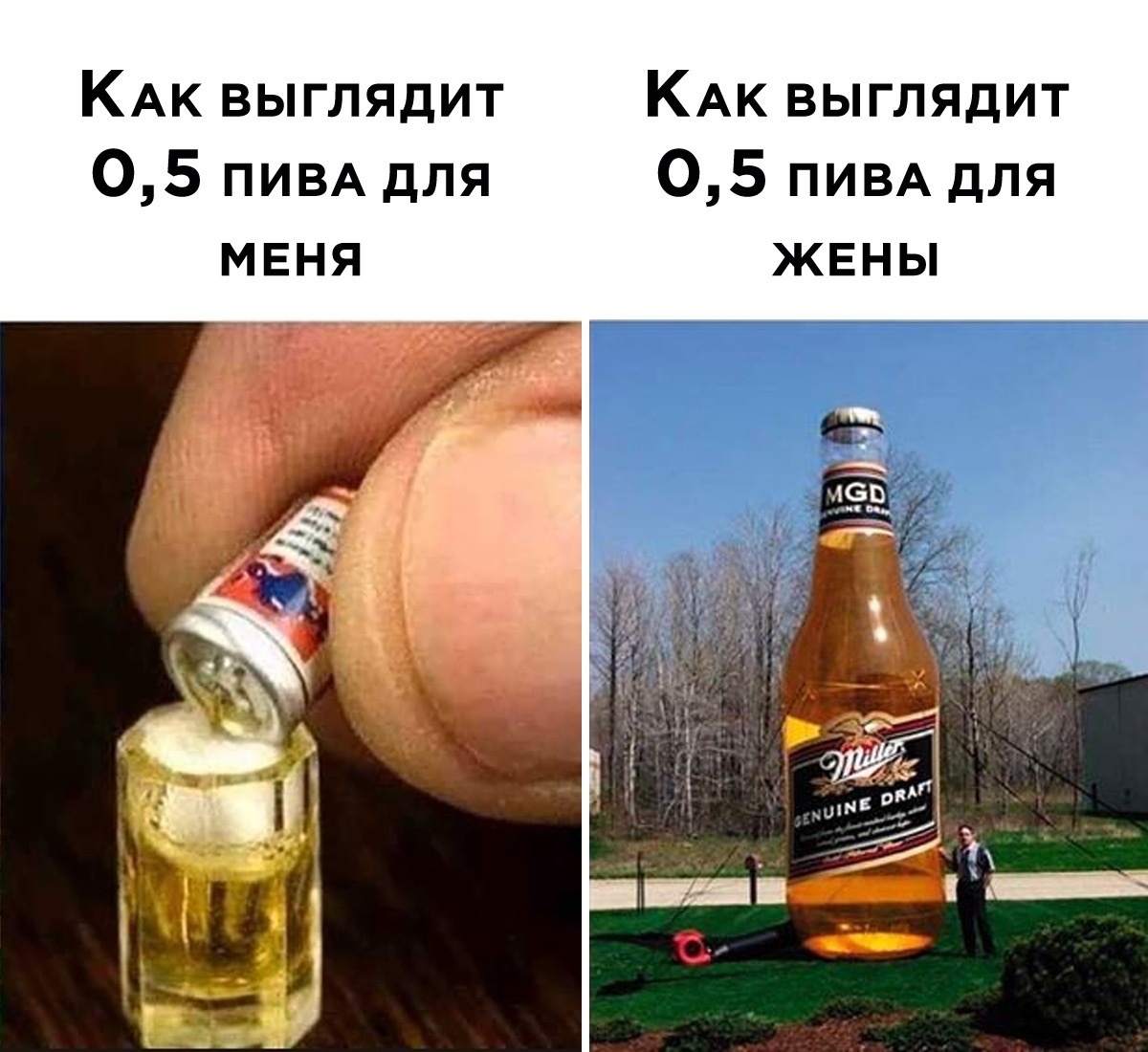 Фотография из открытых источников Яндекса