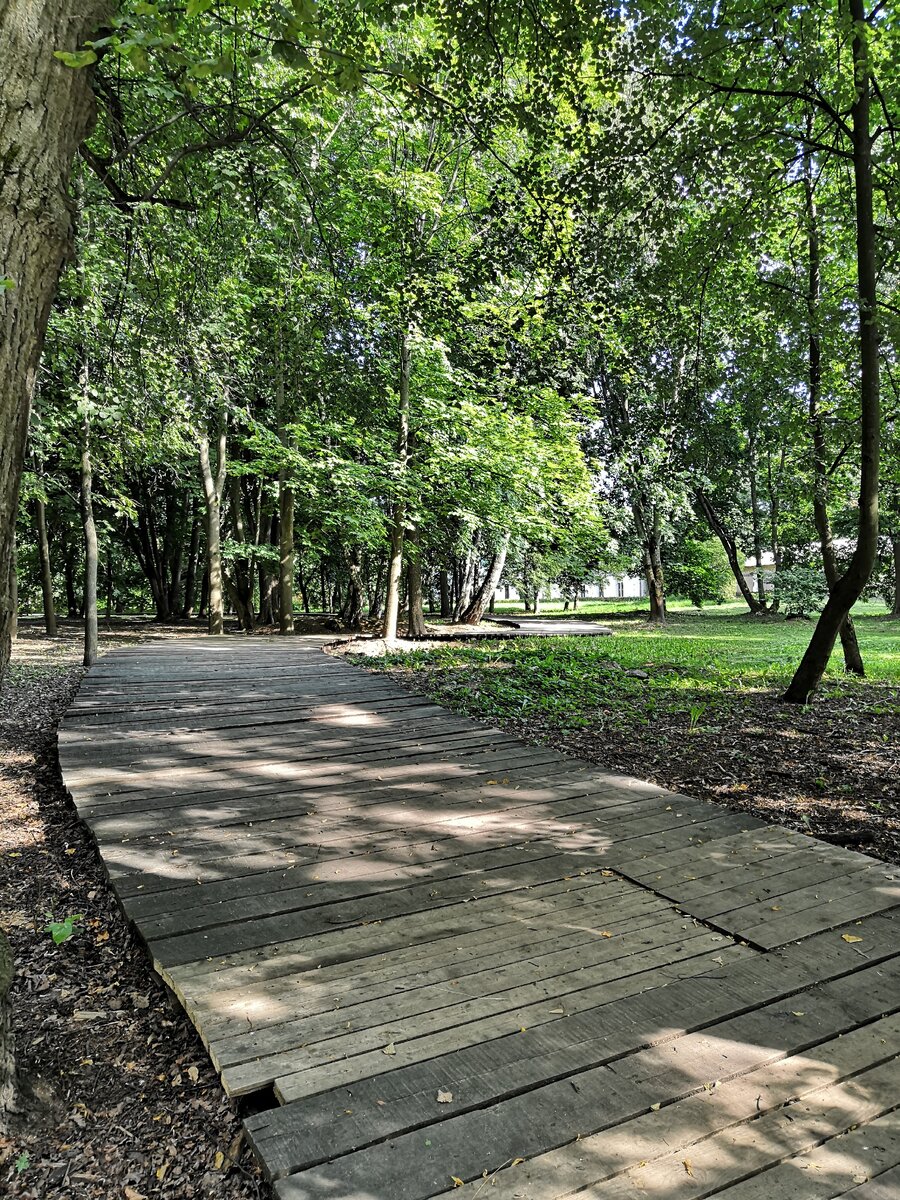 Дорожки в парке (фото автора)