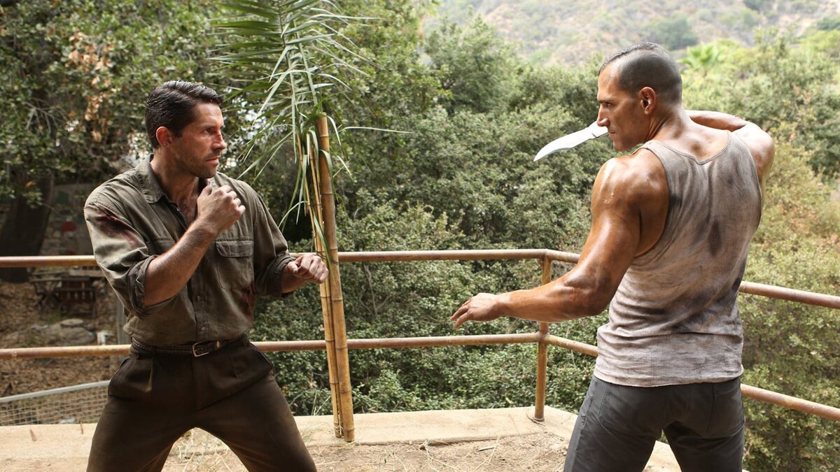 Финальный бой. Из свободных источников.