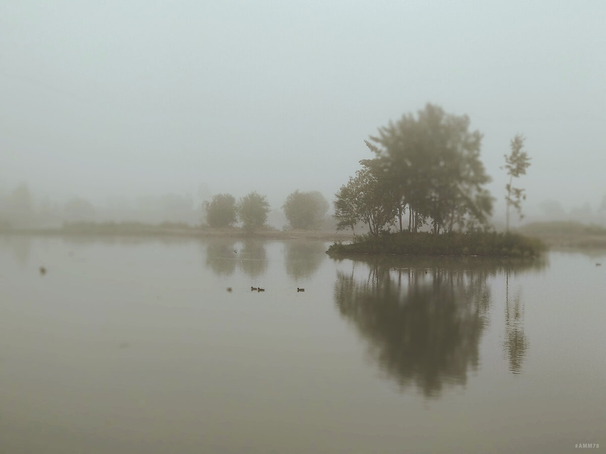 © Александр Максимов