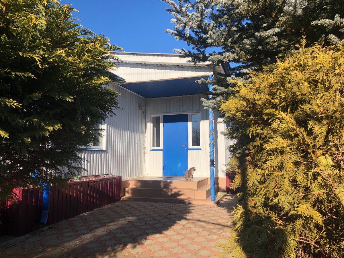 Все фото сделаны зимой