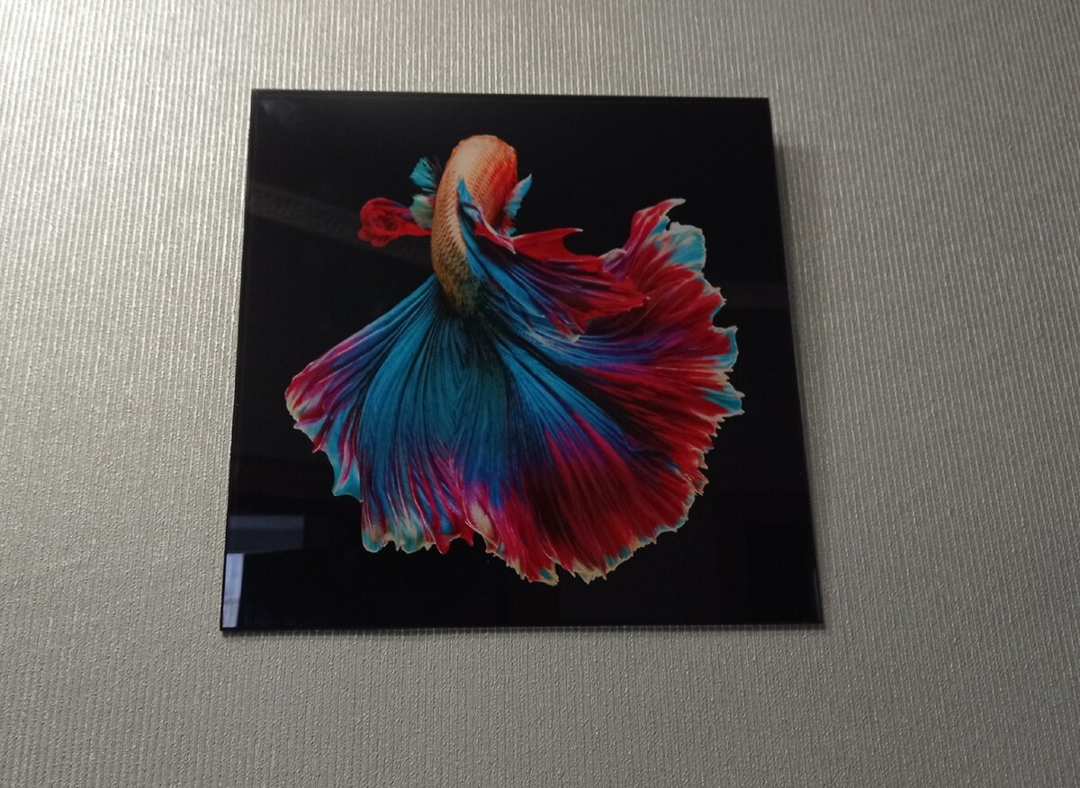 Моя прелесть ❤